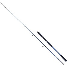 Ryuji Strobe II 1.68M 60-130GR 2p Jig Olta Kamışı