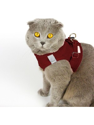 Petköy Kedi Tasması Göğüs Tasma Seti Yumuşak Süet Bordo Renk