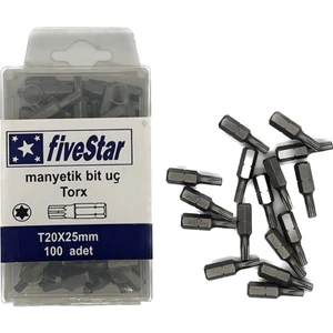 T20 Tork Vidalama Ucu 100 Adet
