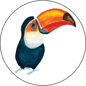 Agu Patch - Tukan Kuşu Jay