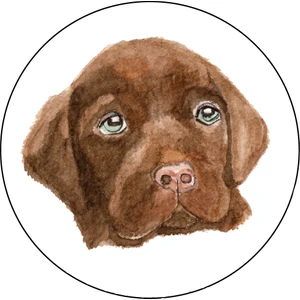 Agu Patch - Çikolata Labrador Bach