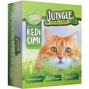 Kedi Çimi Kutulu Fileli