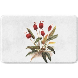 Mikrofiber Banyo Paspası, Kaymaz Taban, Makinede Yıkanabilir, Banyo Halısı