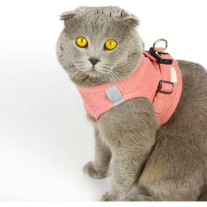 Kedi Tasması Göğüs Tasma Seti Yumuşak Süet Pudra Renk