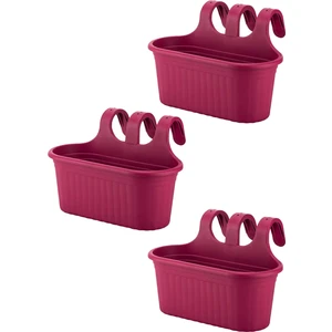 3 Adet 6,5 Litre Vişne Askılı Balkon Küpeşte Saksısı Seti Plastik Askı Saksı Set Tombik No2