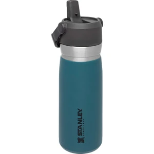 The Iceflow Pipetli Paslanmaz Çelik Soğuk Su Termosu, 0.65 L