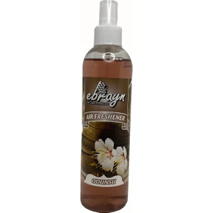 Oto Koku Odunsu 250ML