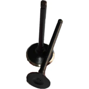 Moto Express Store Hero Pleasure Subap Takımı Ix Dp1 Emme Egzoz Subabı