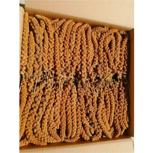 Emre Bilişim Kızıl Dal Darı 250 gr