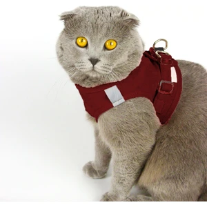 Kedi Tasması Göğüs Tasma Seti Yumuşak Süet Bordo Renk