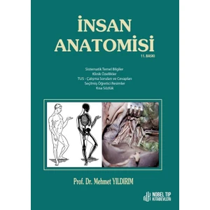Insan Anatomisi 11. Baskı - Mehmet Yıldırım