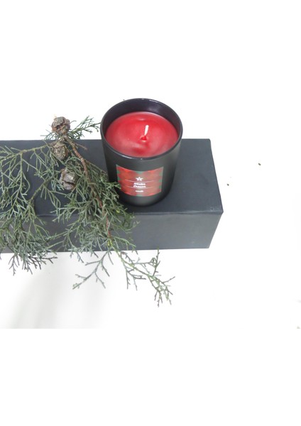 Özel Kutulu Siyah Bardak Apple&cınnamon Kokulu Vegan Kırmızı Mum modelleri