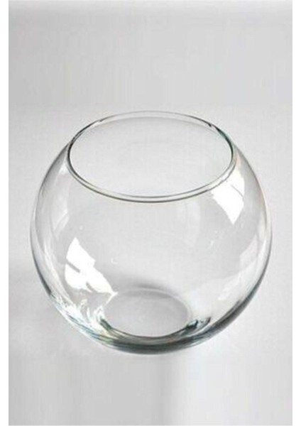 Lilac Home Orta Boy Cam Fanus Vazo fiyatları