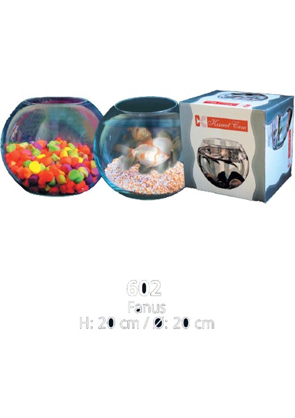 Lilac Home Orta Boy Cam Fanus Vazo modelleri