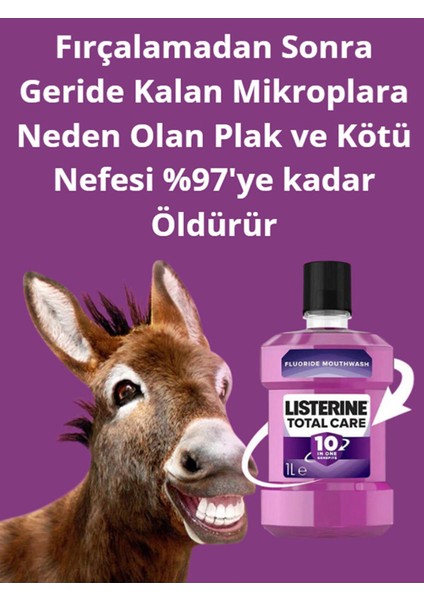 Total Care 10ın1 Gargara 1lt, Ağız Kokusu Ve Diş Koruyucu Tabakası Için 10 Fayda 6 Adet modelleri