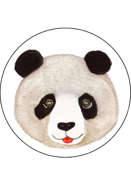 Agu Patch- Panda Obı