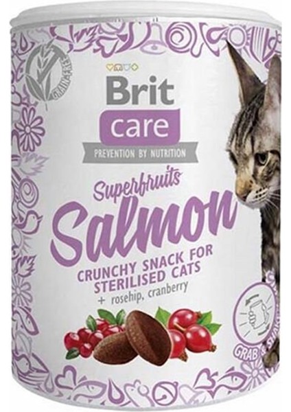 Süper Fruits Somonlu Kedi Ödülü 100 gr