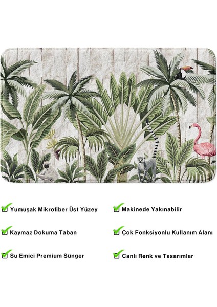 2'li Takım Banyo Paspası, Kaymaz Taban, Makinede Yıkanabilir, Banyo Halısı fırsatları