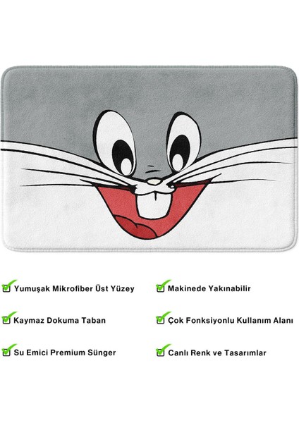 2'li Takım Banyo Paspası, Kaymaz Taban, Makinede Yıkanabilir, Banyo Halısı fırsatları