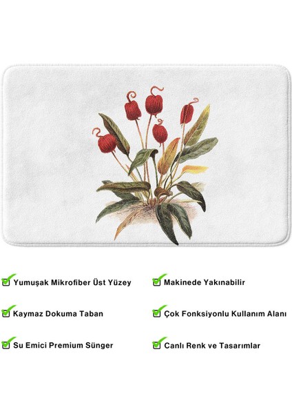 2'li Takım Banyo Paspası, Kaymaz Taban, Makinede Yıkanabilir, Banyo Halısı