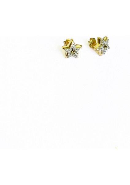 Çift Renkli Yıldız Gümüş Küpe modelleri