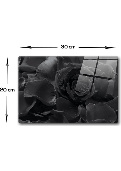 Karagül Desen | Cam Kesme Tahtası - Cam Kesme Tablası | 20 cm x 30 cm modelleri