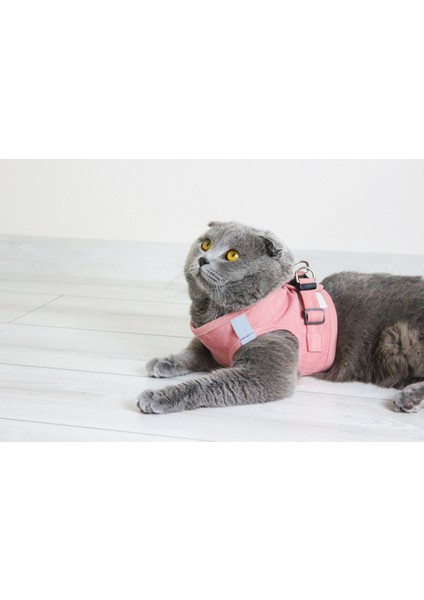 Kedi Tasması Göğüs Tasma Seti Yumuşak Süet Pudra Renk fırsatları