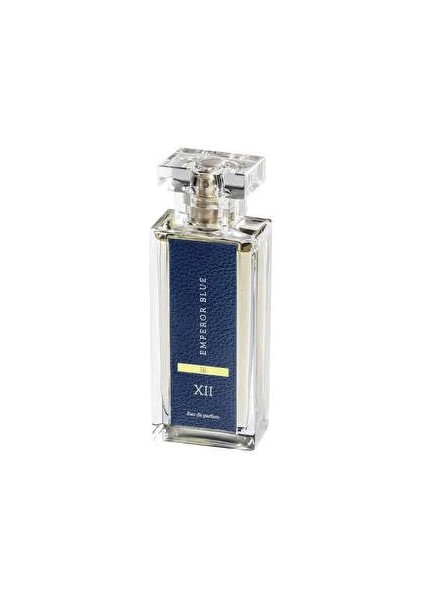 Blue Xıı Edp 100 ml