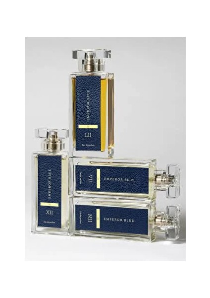 Blue Xıı Edp 100 ml