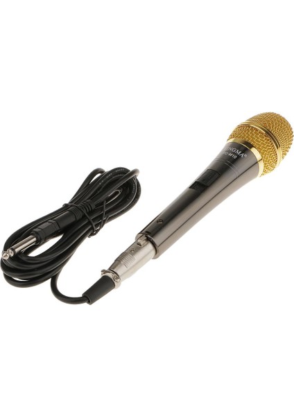 PC-M10 Profesyonel Kondensermikrofon Stüdyosu Vokalmikrofon Black & Gold (Yurt Dışından)