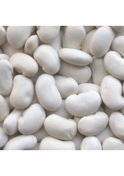 Yerli Ata Tohumu Bombay Sırık Fasulyesi 25 Gr