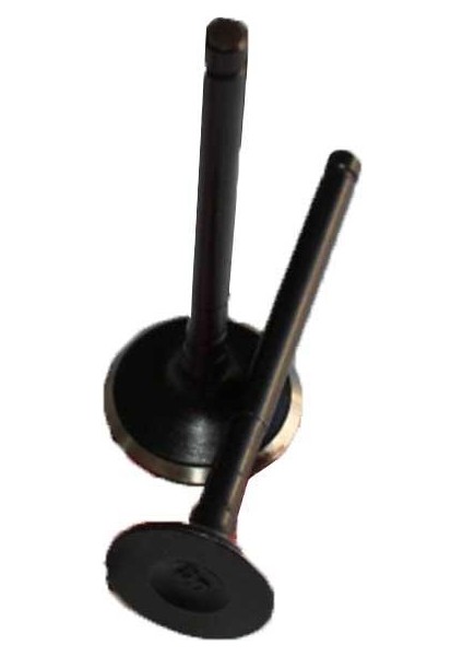 Store Hero Pleasure Subap Takımı Ix Dp1 Emme Egzoz Subabı