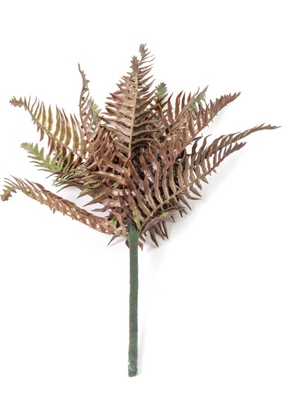 Eğrelti Otu ( Fujer ) 50 Cm. modelleri