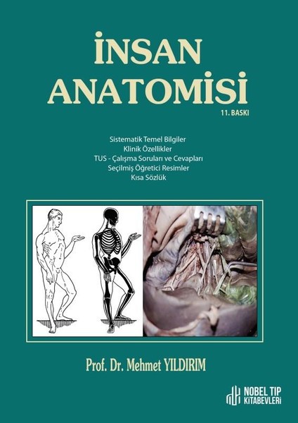 Insan Anatomisi 11. Baskı - Mehmet Yıldırım