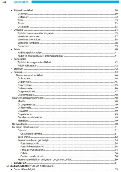 Insan Anatomisi 11. Baskı - Mehmet Yıldırım