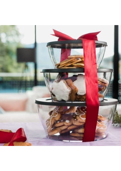 Royal Kap 3'lü Set 990-1.3-2.4 Lt Syh Saklama Servis Kabı