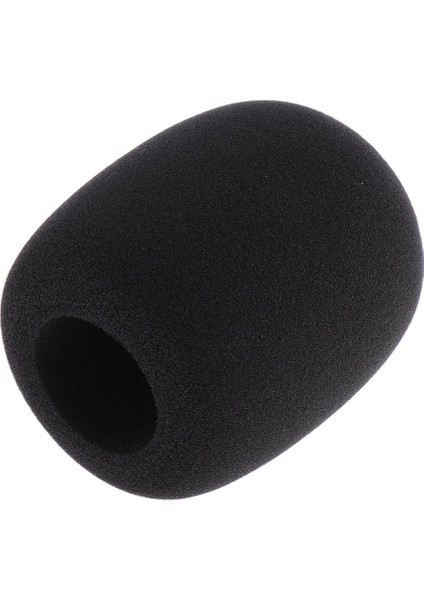 Büyük Mikrofon Köpük Kapak Mikrofon Condenser Mıc Ekipmanları İçin 5 cm. (Yurt Dışından)