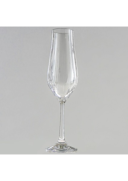 Tulipa 170 ml Şampanya Kadeh Takımı modelleri