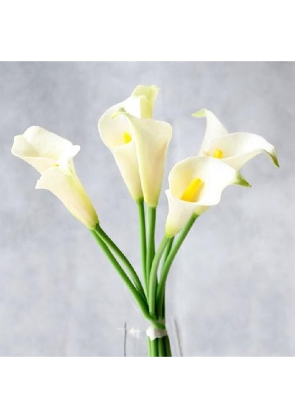10 Adet Ev Dekoratif Calla Lily Gelin Düğün Buketi Lateks Gerçek Dokunmatik Yapay Çiçek Dekor | Yapay ve kurutulmuş Çiçekler (Yurt Dışından)