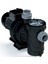 Havuz Pompası Verdon Es 0.75HP 220 Volt 1