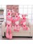 Pembe Panter Peluş Dev Boy 80 cm 2