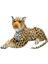 01399 Sun-Weh-Pff-Sk. Peluş Leopar Yatan 90CM. 1
