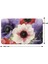 Mikrofiber Banyo Paspası, Kaymaz Taban, Makinede Yıkanabilir, Banyo Halısı (50X80) 4