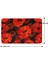 Mikrofiber Banyo Paspası, Kaymaz Taban, Makinede Yıkanabilir, Banyo Halısı (50X80) 4