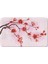 Mikrofiber Banyo Paspası, Kaymaz Taban, Makinede Yıkanabilir, Banyo Halısı 1