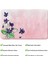 Mikrofiber Banyo Paspası, Kaymaz Taban, Makinede Yıkanabilir, Banyo Halısı 3