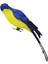 Macaw Yapay Kuşlar Kuş Papağan Modeli Veranda Yard Çim Peyzaj Mavisi (Yurt Dışından) 1