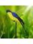 Macaw Yapay Kuşlar Kuş Papağan Modeli Veranda Yard Çim Peyzaj Mavisi (Yurt Dışından) 4