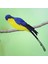 Macaw Yapay Kuşlar Kuş Papağan Modeli Veranda Yard Çim Peyzaj Mavisi (Yurt Dışından) 5