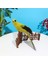 Macaw Yapay Kuşlar Kuş Papağan Modeli Veranda Avlusu Çim Peyzajı Sarı (Yurt Dışından) 2